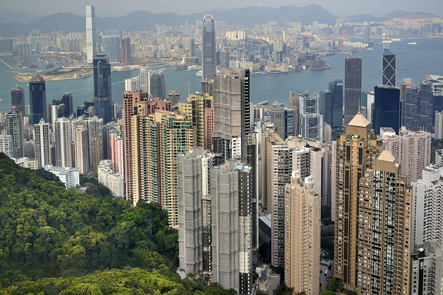 香港馬場賽事分析：練馬師、騎師數據與場地狀況深度研究