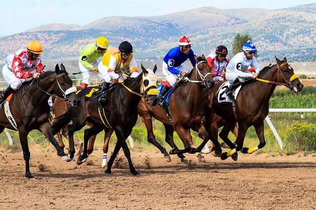 國際賽事點評<br>贏馬策略分析